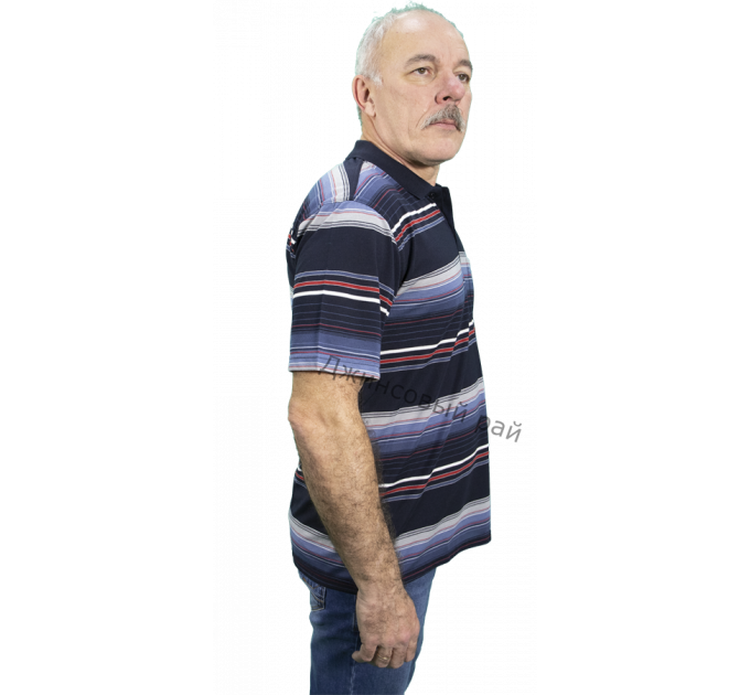 Футболка KOLOR POLO полоса (442)