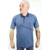 Футболка KOLOR POLO полоса (213)