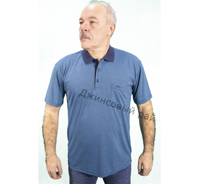 Футболка KOLOR POLO полоса (213)