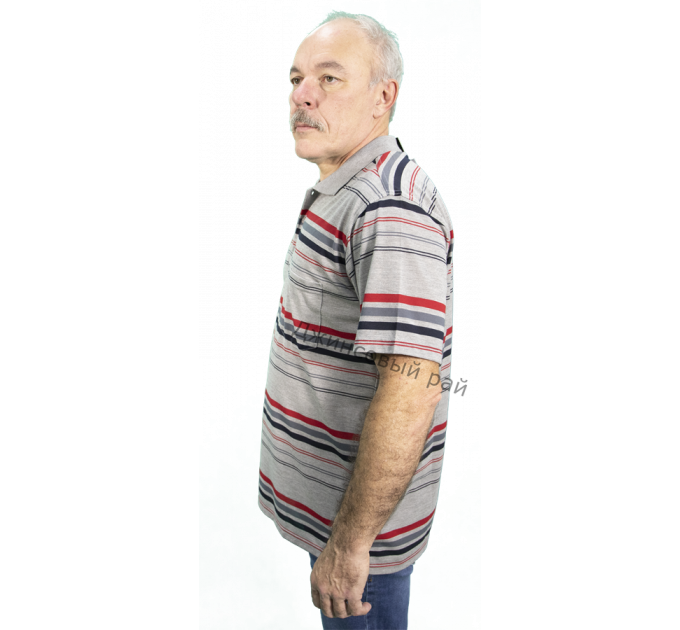 Футболка KOLOR POLO полоса (212)