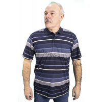 Футболка KOLOR POLO полоса (311)