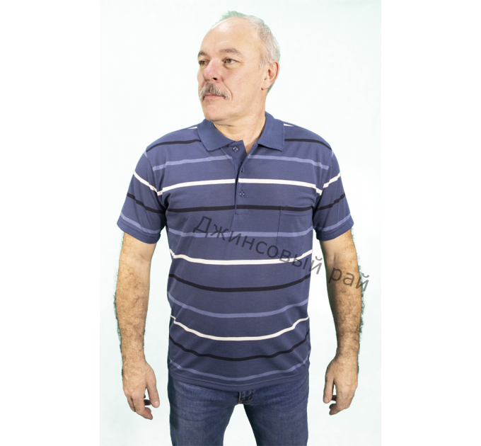 Футболка KOLOR POLO полоса (216)