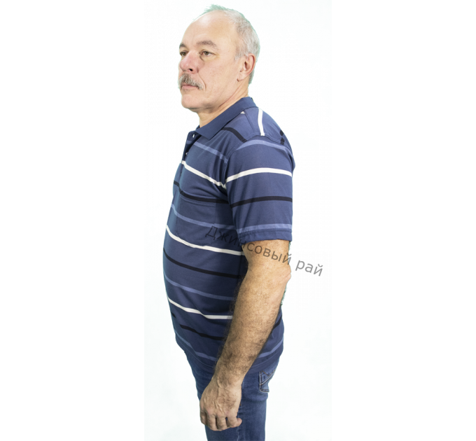 Футболка KOLOR POLO полоса (216)