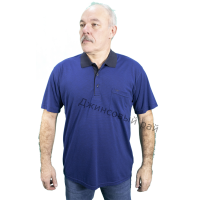Футболка KOLOR POLO полоса (447)