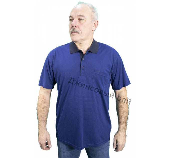 Футболка KOLOR POLO полоса (447)