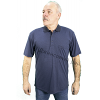 Футболка KOLOR POLO полоса (218)