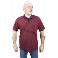 Футболка KOLOR POLO полоса (446)