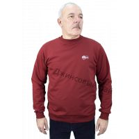 Толстовка RAMOSS 4053 бордо 03