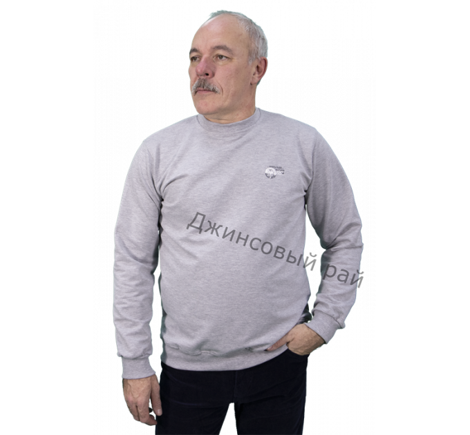 Толстовка RAMOSS 4053 светло - серый 02