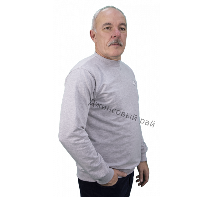 Толстовка RAMOSS 4053 светло - серый 02